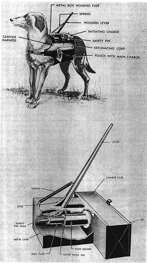 Soviet Anti-tank Dogs